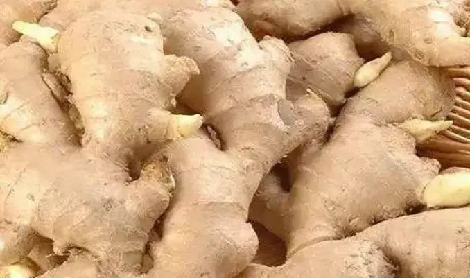 Vào mùa đông, dù giàu hay nghèo cũng nên ăn 8 thực phẩm được coi là "bát trân mùa đông" - tinh hoa của dưỡng sinh mùa lạnh- Ảnh 8.