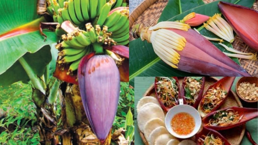 Món Việt lên đài Hàn Quốc, quen thuộc trong mâm cơm, du khách nhận xét: Món Việt lên đài Hàn Quốc, quen thuộc trong mâm cơm, du khách nhận xét: