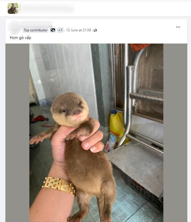 Bức ảnh có thể khiến tài khoản Zalo của nhiều người bị khóa vĩnh viễn- Ảnh 1. Bức ảnh có thể khiến tài khoản Zalo của nhiều người bị khóa vĩnh viễn- Ảnh 1.