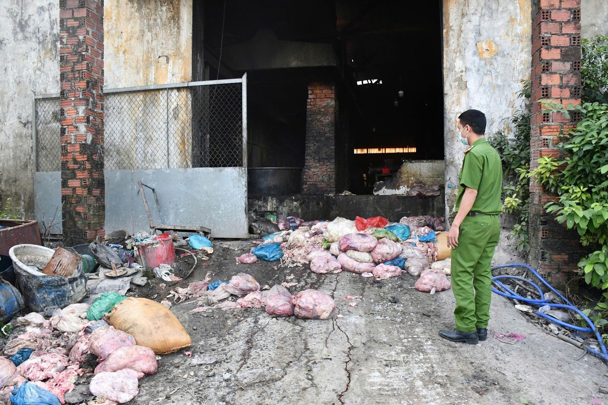 Cận cảnh cơ sở chế biến mỡ quy mô lớn, ẩn mình trong khu nghĩa trang- Ảnh 1. Cận cảnh cơ sở chế biến mỡ quy mô lớn, ẩn mình trong khu nghĩa trang- Ảnh 1.