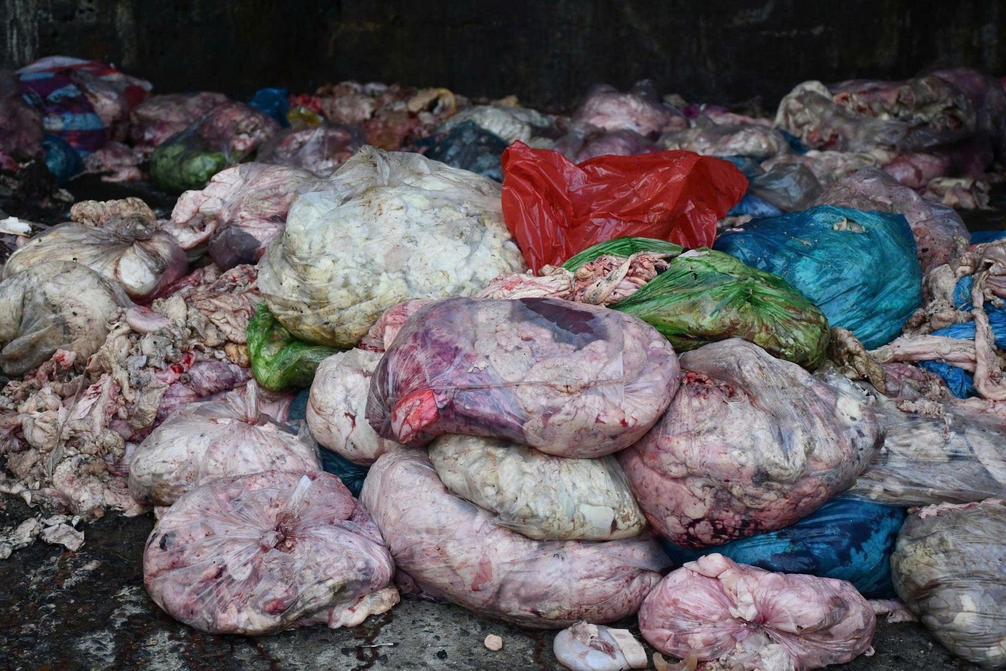 Cận cảnh cơ sở chế biến mỡ quy mô lớn, ẩn mình trong khu nghĩa trang- Ảnh 2. Cận cảnh cơ sở chế biến mỡ quy mô lớn, ẩn mình trong khu nghĩa trang- Ảnh 2.