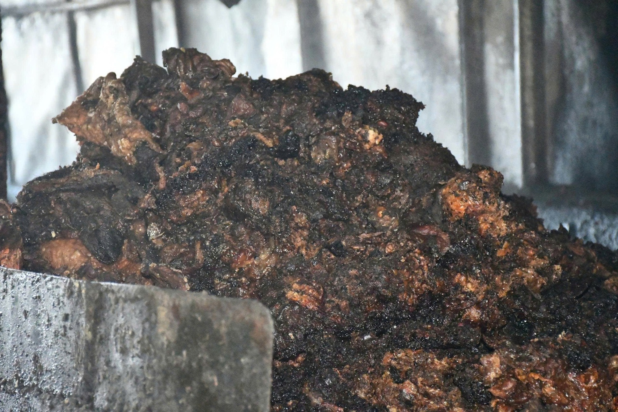 Cận cảnh cơ sở chế biến mỡ quy mô lớn, ẩn mình trong khu nghĩa trang- Ảnh 5. Cận cảnh cơ sở chế biến mỡ quy mô lớn, ẩn mình trong khu nghĩa trang- Ảnh 5.