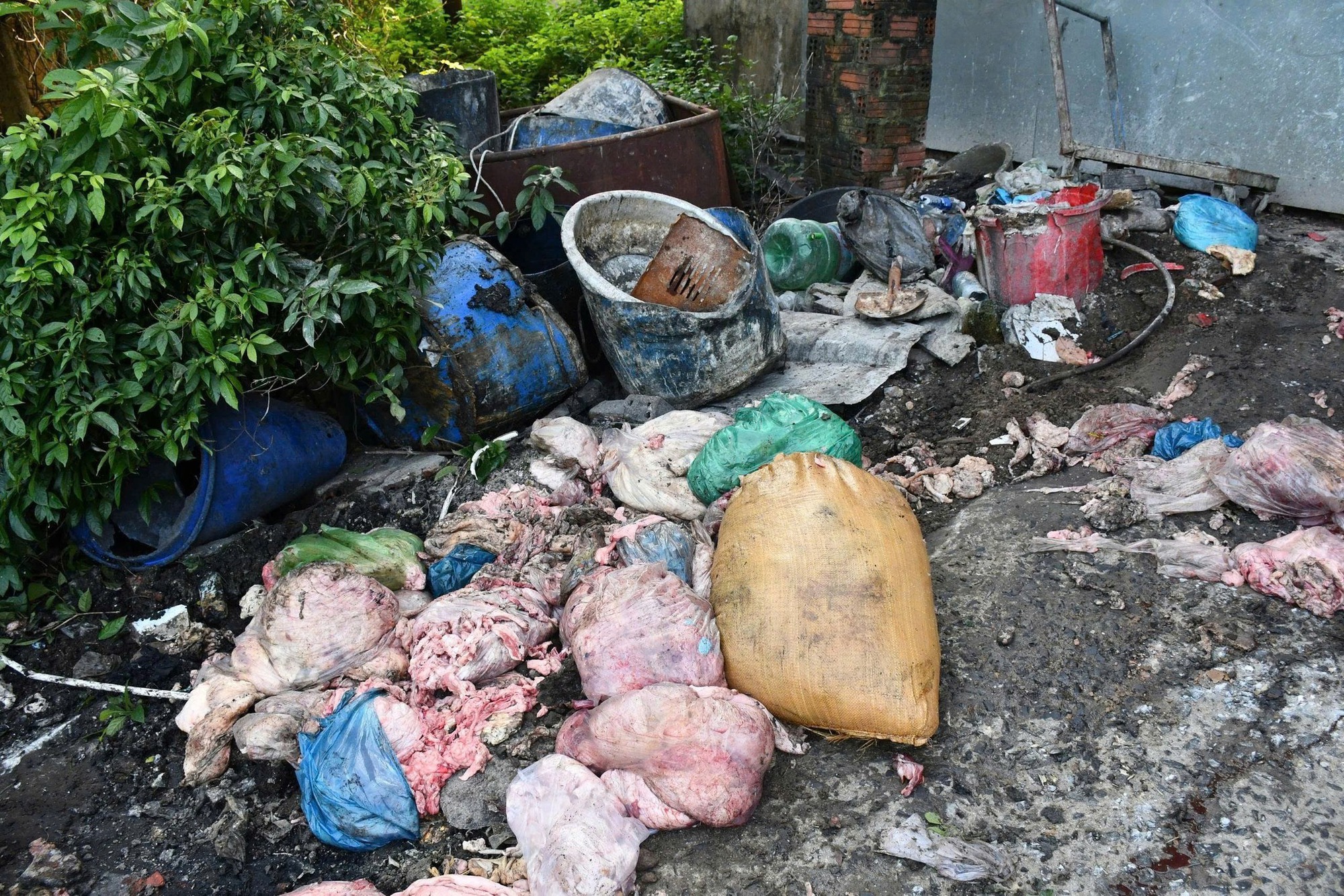 Cận cảnh cơ sở chế biến mỡ quy mô lớn, ẩn mình trong khu nghĩa trang- Ảnh 6. Cận cảnh cơ sở chế biến mỡ quy mô lớn, ẩn mình trong khu nghĩa trang- Ảnh 6.