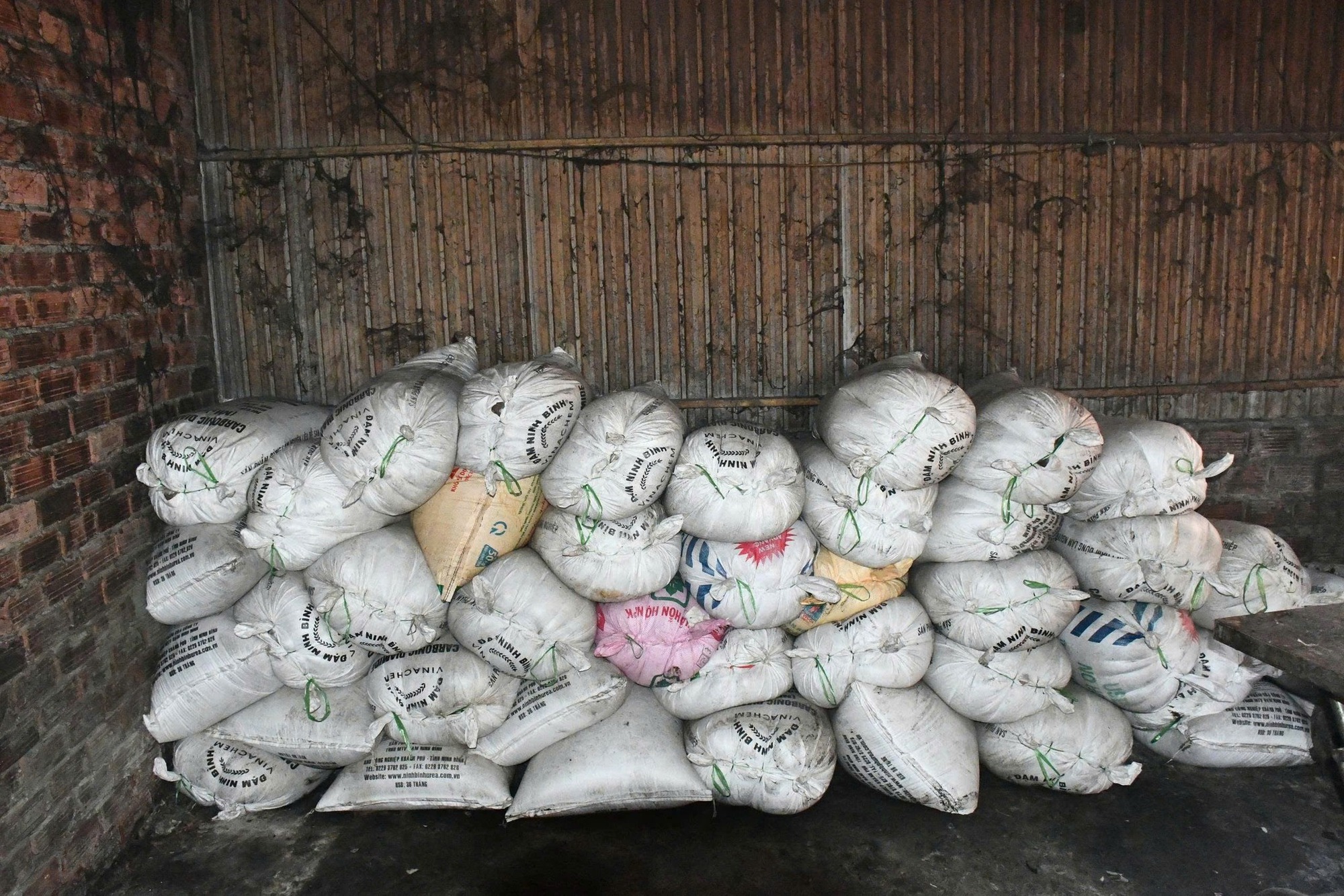 Cận cảnh cơ sở chế biến mỡ quy mô lớn, ẩn mình trong khu nghĩa trang- Ảnh 7. Cận cảnh cơ sở chế biến mỡ quy mô lớn, ẩn mình trong khu nghĩa trang- Ảnh 7.