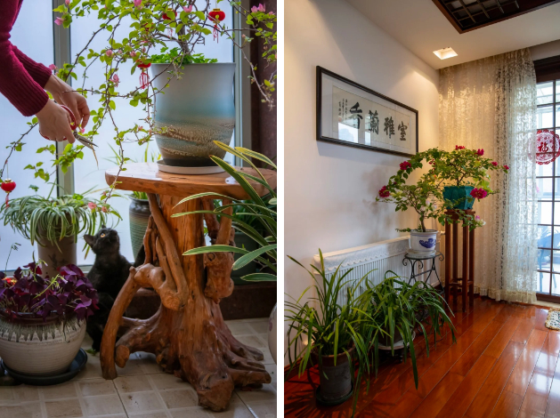 Người phụ nữ U60 tỉnh ngộ: Cứ lao đầu kiếm tiền đi, rồi chỉ để nộp viện phí, hãy kiếm 4 thứ này để đổi lấy bình yên!- Ảnh 3.