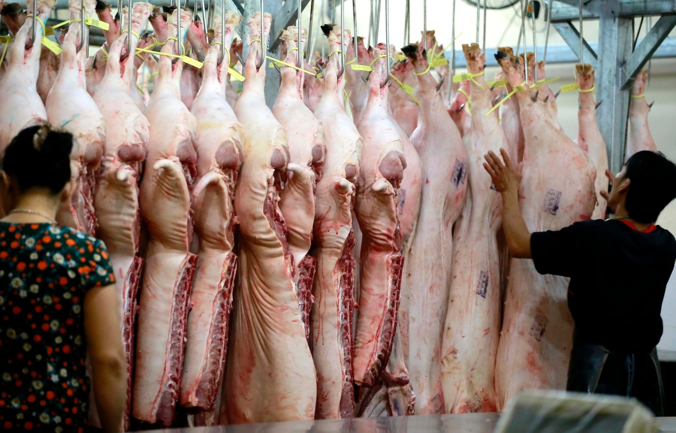 Giá lợn  hơi giảm mạnh- Ảnh 1.