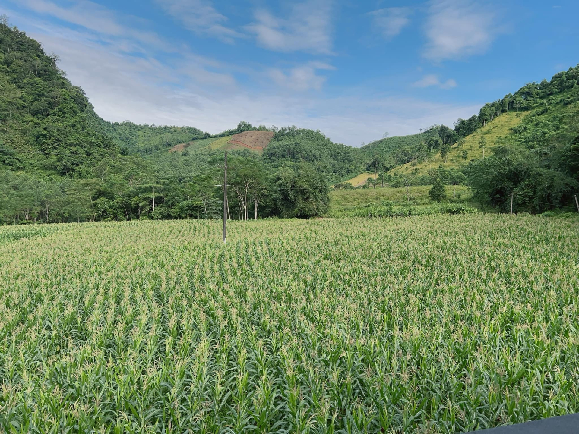 Cặp vợ chồng chi 3 tỷ xây nhà như cổ tích trên vùng núi Tuyên Quang: View triệu đô, 0 đồng rau củ- Ảnh 19.