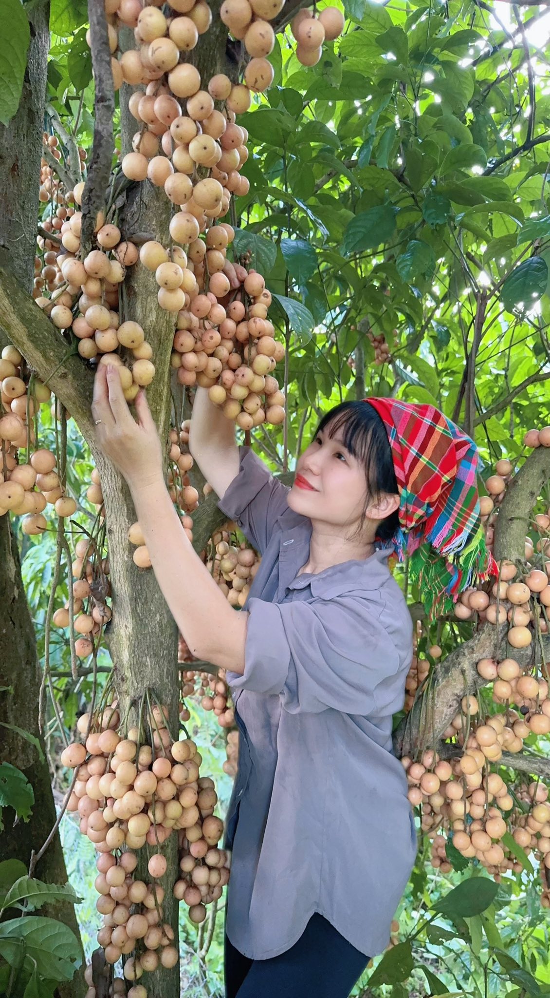 Cặp vợ chồng chi 3 tỷ xây nhà như cổ tích trên vùng núi Tuyên Quang: View triệu đô, 0 đồng rau củ- Ảnh 8.