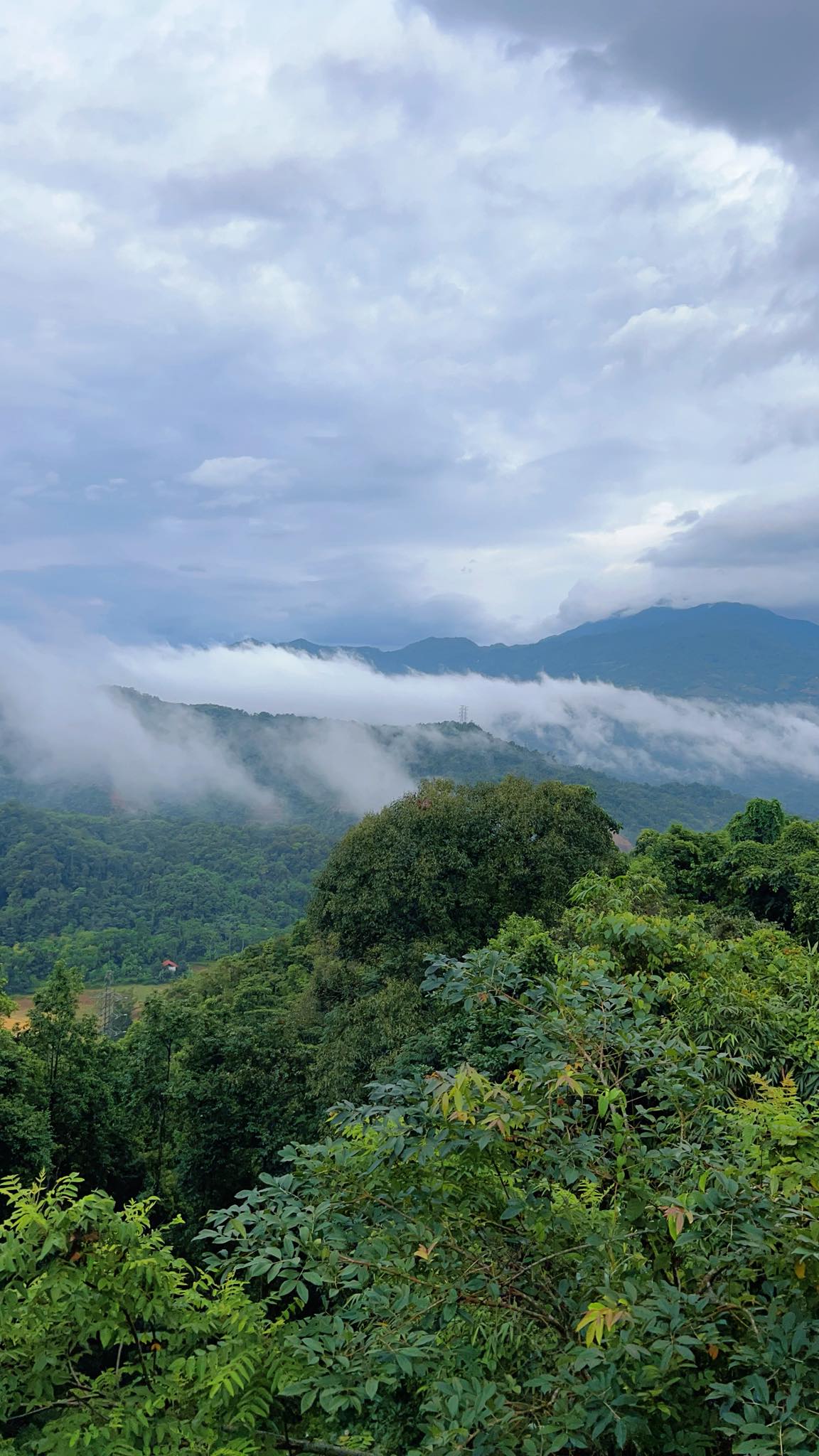 Cặp vợ chồng chi 3 tỷ xây nhà như cổ tích trên vùng núi Tuyên Quang: View triệu đô, 0 đồng rau củ- Ảnh 20.