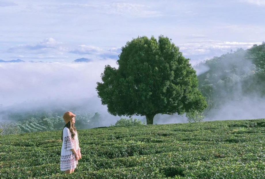 Vượt qua Pháp và Ý, đại diện duy nhất của Việt Nam lọt top 7 điểm đón bình minh hàng đầu thế giới- Ảnh 5. Vượt qua Pháp và Ý, đại diện duy nhất của Việt Nam lọt top 7 điểm đón bình minh hàng đầu thế giới- Ảnh 5.