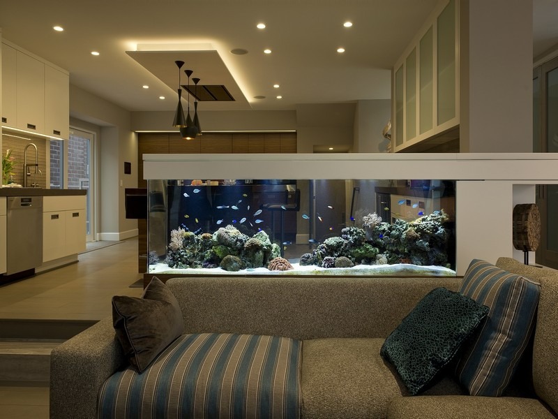 6 dấu hiệu nhà quý hơn cả vàng ròng, chuyển đi hay bán đều phí lộc trời ban- Ảnh 3.