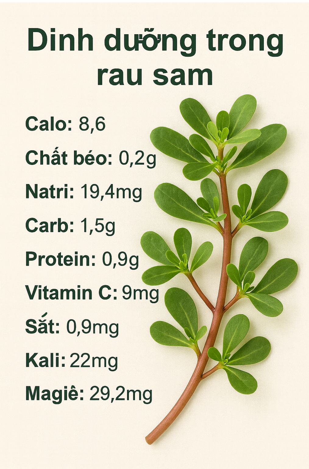 Loại rau người Trung Quốc coi là "rau trường thọ": Mọc đầy Việt Nam nhưng hay bị nhổ bỏ- Ảnh 2. Loại rau người Trung Quốc coi là "rau trường thọ": Mọc đầy Việt Nam nhưng hay bị nhổ bỏ- Ảnh 2.