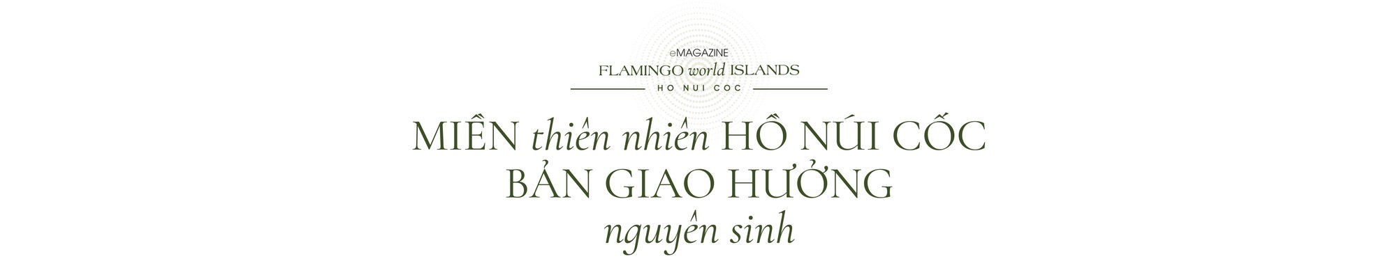 Flamingo Maison 108 Ho Nui Coc: Bộ siêu tập 108 dinh thự giữa vùng thiên nhiên 100 niên tuổi- Ảnh 1. Flamingo Maison 108 Ho Nui Coc: Bộ siêu tập 108 dinh thự giữa vùng thiên nhiên 100 niên tuổi- Ảnh 1.