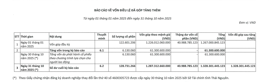 TNG tăng vốn điều lệ lên hơn 1.300 tỷ đồng- Ảnh 1. TNG tăng vốn điều lệ lên hơn 1.300 tỷ đồng- Ảnh 1.