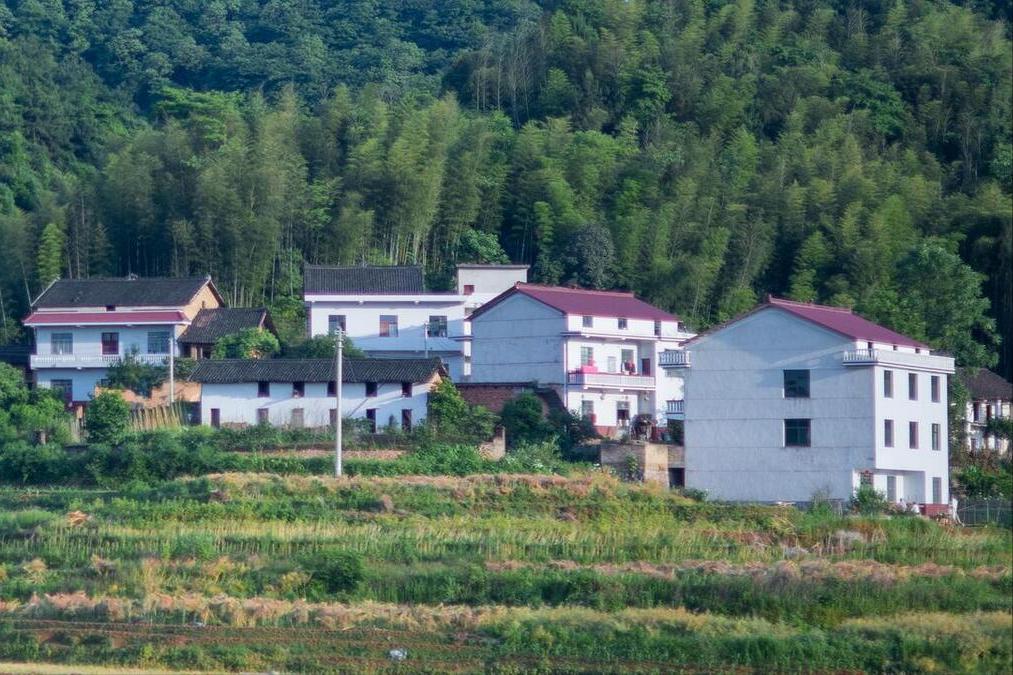 Mua nhà ở quê hay ở phố? Tôi 47 tuổi và chọn phố, dù quê rất đẹp – vì 3 lý do thực tế này- Ảnh 3.