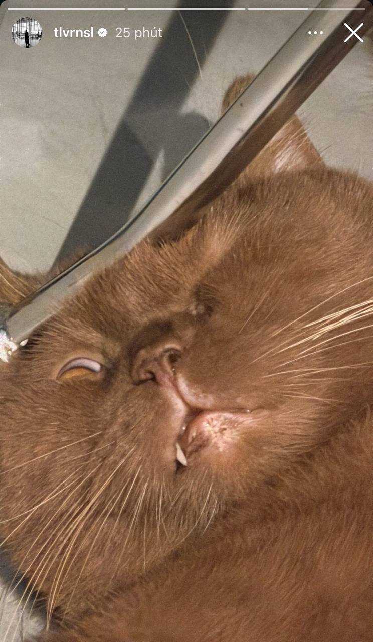 Tóc Tiên vội lên tiếng sau khi vô tình xác nhận độc thân, còn Touliver bình tĩnh đi tập gym- Ảnh 5.