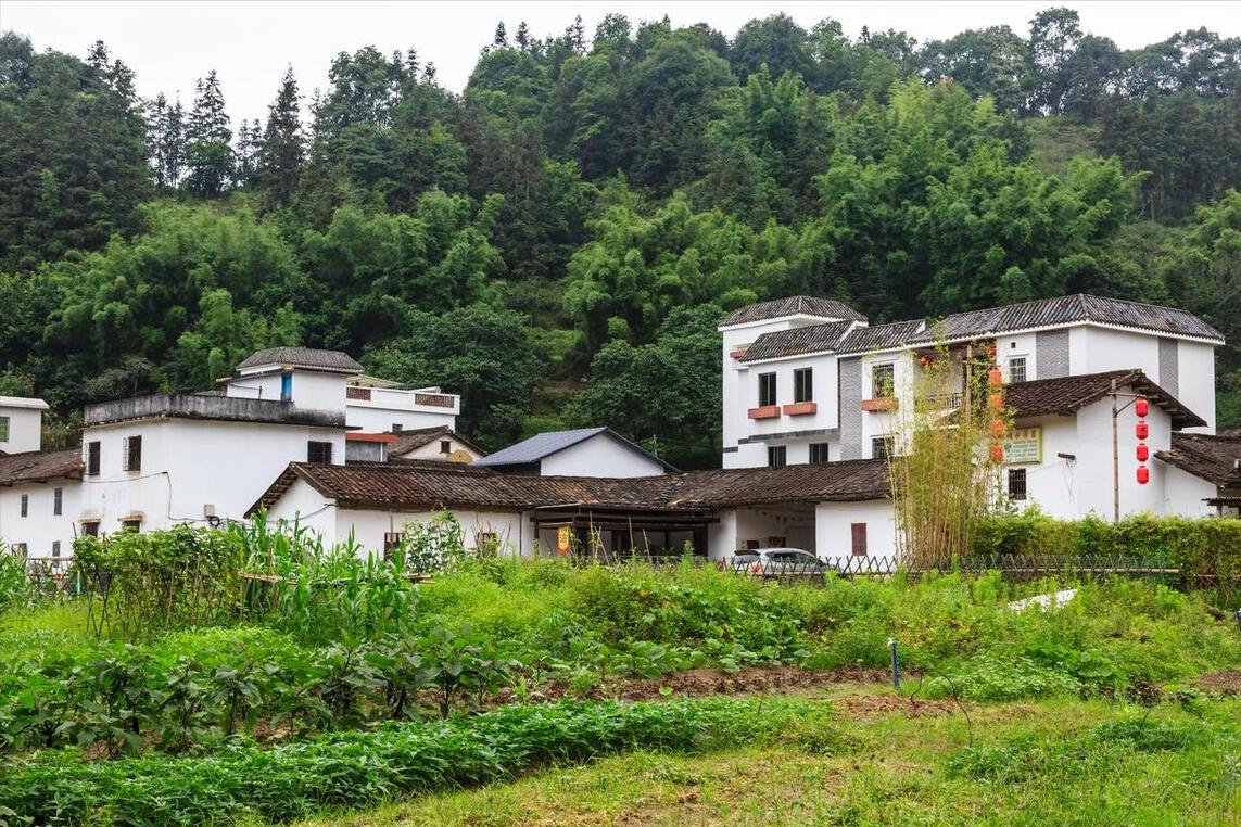 Mua nhà ở quê hay ở phố? Tôi 47 tuổi và chọn phố, dù quê rất đẹp – vì 3 lý do thực tế này- Ảnh 2.