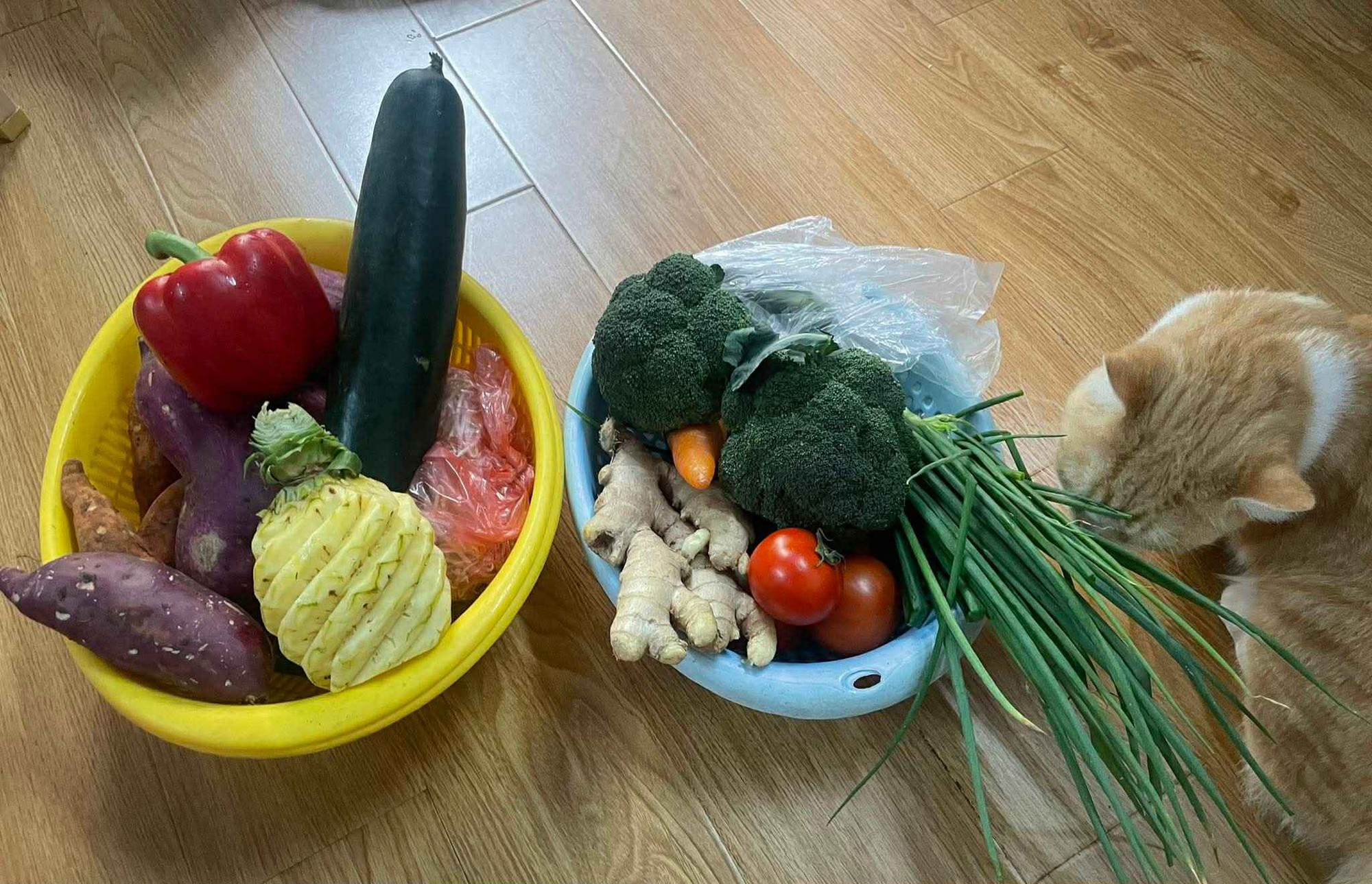 Đi chợ mà choáng: “Tiền rau giờ còn đắt hơn thịt” – cú sốc khiến tôi phải xem lại cả bảng chi tiêu- Ảnh 4.