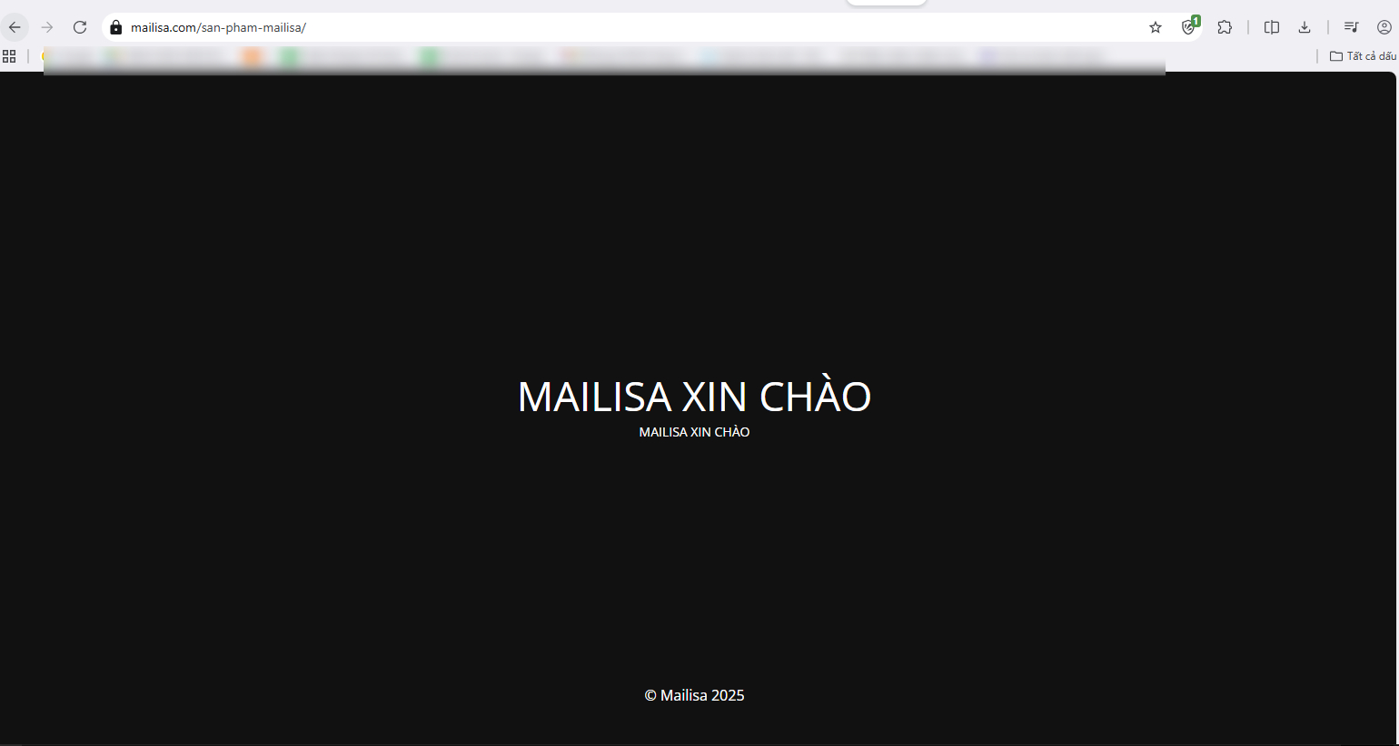 81 sản phẩm của Mailisa "biến mất" khỏi hệ thống, hé lộ điểm bất thường trong hệ sinh thái có doanh thu trăm tỷ- Ảnh 3.