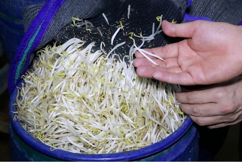 Đi chợ thấy 5 loại rau này thì 