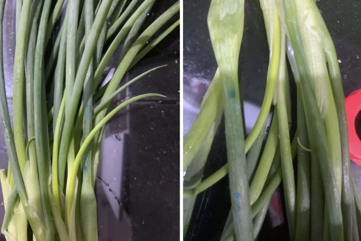 Đi chợ thấy 5 loại rau này thì 