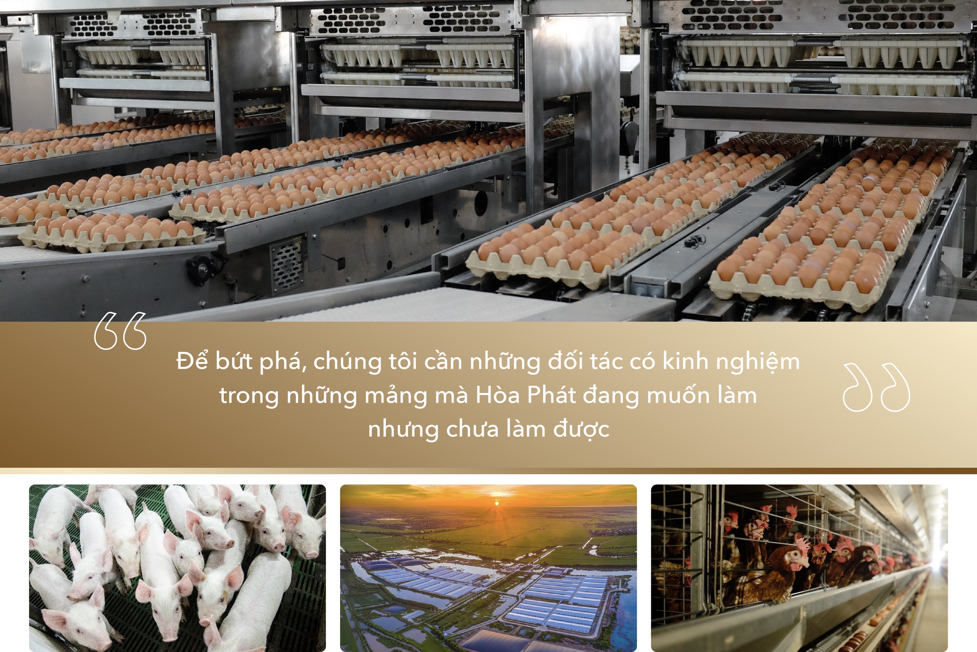 Nông nghiệp Hòa Phát: Chậm mà chắc như xe lu, xây vị thế top đầu- Ảnh 8. Nông nghiệp Hòa Phát: Chậm mà chắc như xe lu, xây vị thế top đầu- Ảnh 8.