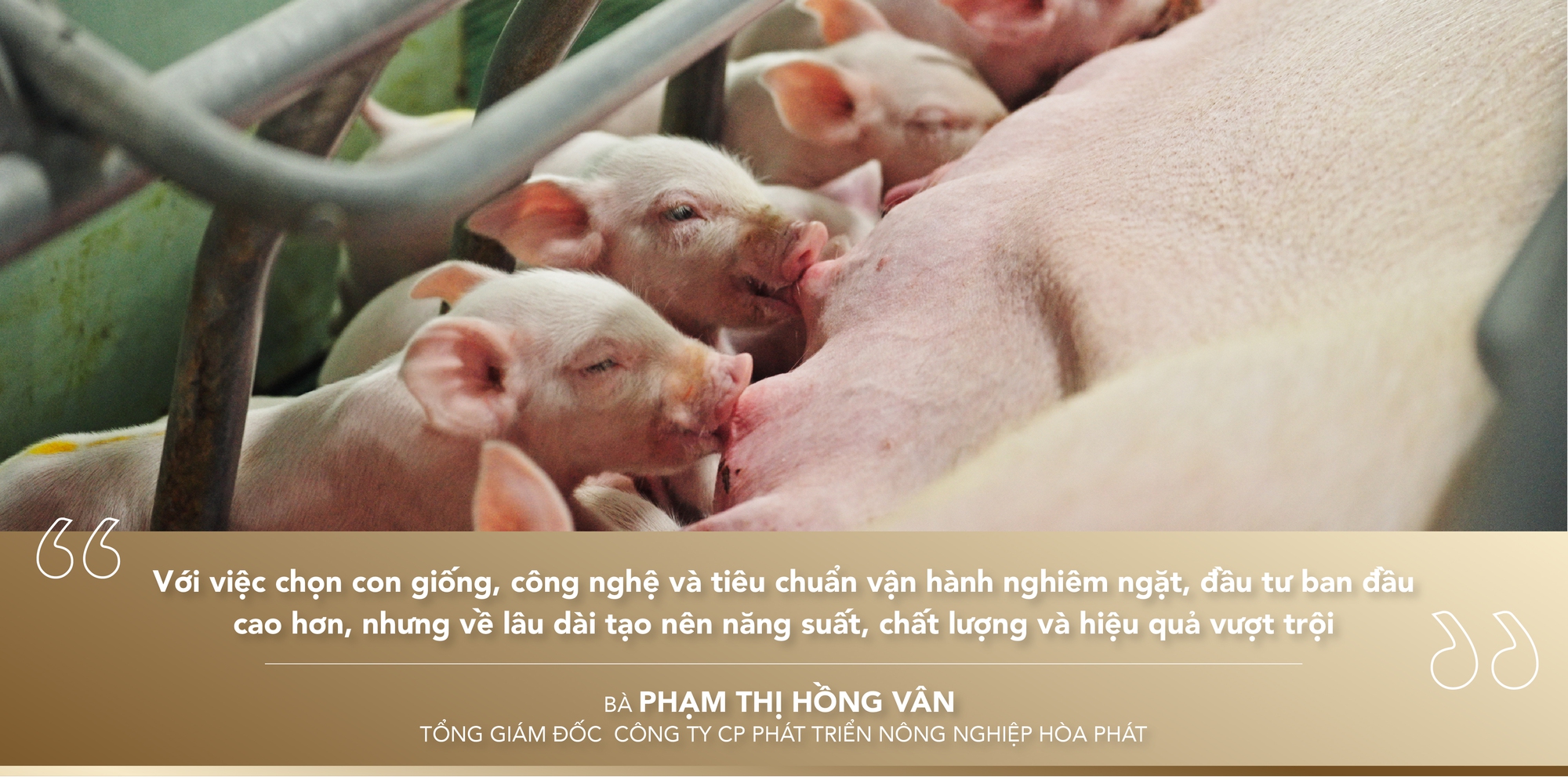 Nông nghiệp Hòa Phát: Chậm mà chắc như xe lu, xây vị thế top đầu- Ảnh 3. Nông nghiệp Hòa Phát: Chậm mà chắc như xe lu, xây vị thế top đầu- Ảnh 3.