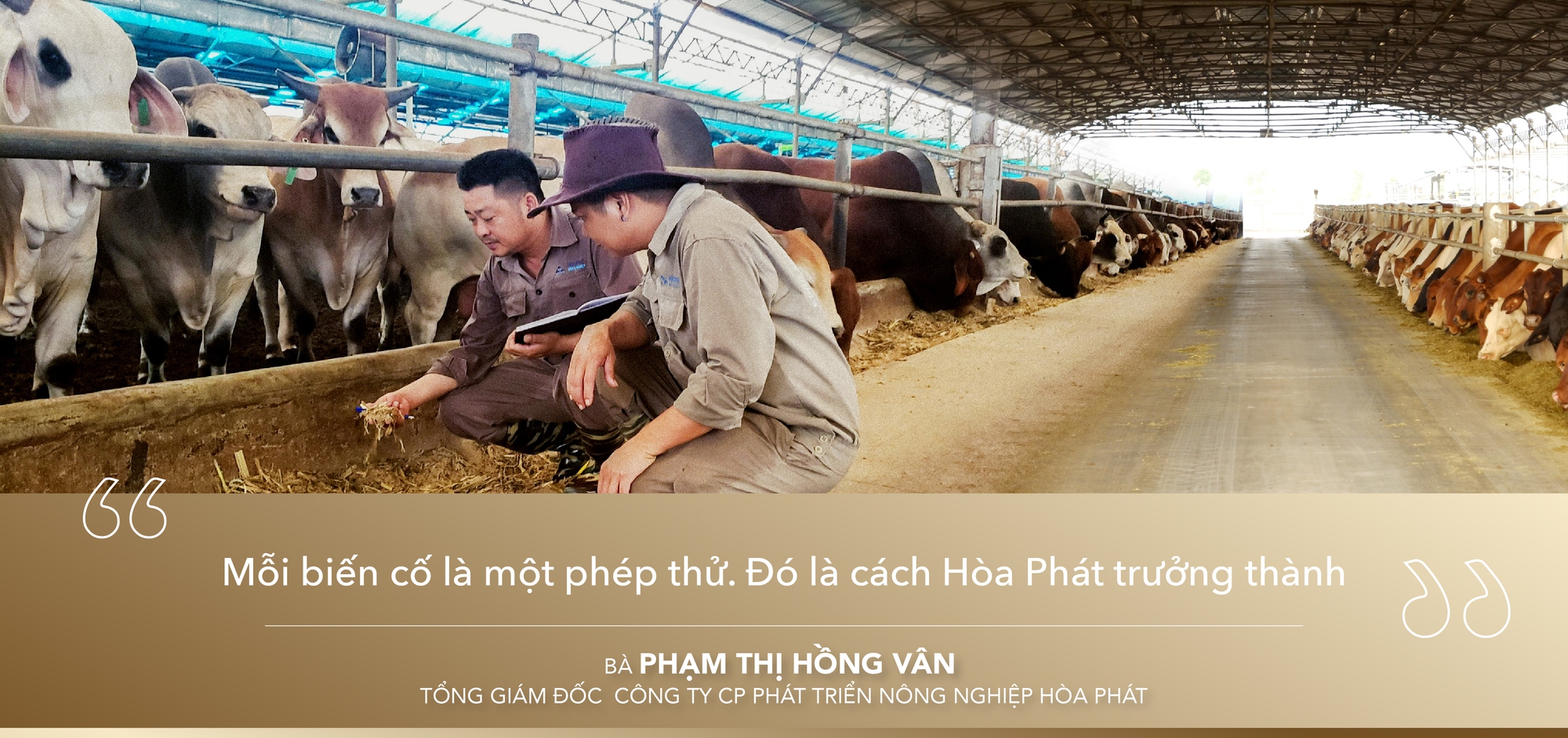 Nông nghiệp Hòa Phát: Chậm mà chắc như xe lu, xây vị thế top đầu- Ảnh 6. Nông nghiệp Hòa Phát: Chậm mà chắc như xe lu, xây vị thế top đầu- Ảnh 6.