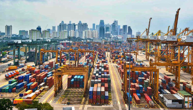 Kim ngạch xuất nhập khẩu Việt Nam-Singapore tăng kỷ lục- Ảnh 1.