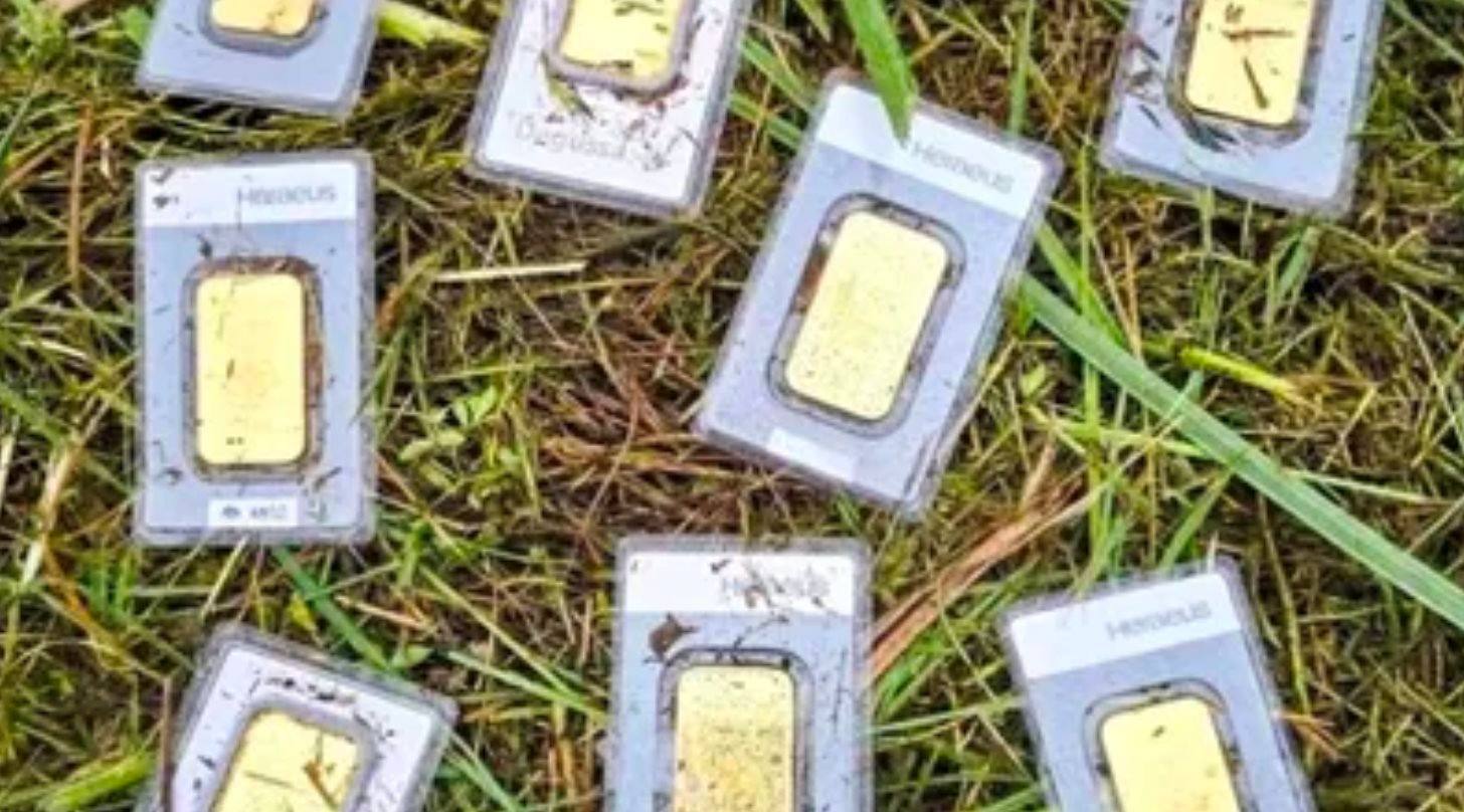 Phát hiện 10 thỏi vàng khi đang cắt cỏ, trị giá lên đến hơn 1 tỷ đồng- Ảnh 1.