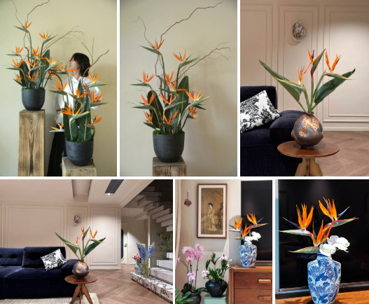 Hoa thiên điểu “đổ bộ” phòng khách ngày Tết: Nhìn là thấy giàu, cắm một lần là nghiện- Ảnh 3.