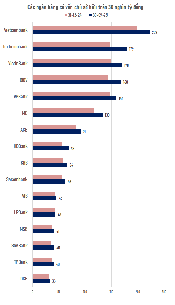 Ngân hàng Việt duy nhất có vốn chủ sở hữu trên 8 tỷ USD- Ảnh 1. Ngân hàng Việt duy nhất có vốn chủ sở hữu trên 8 tỷ USD- Ảnh 1.