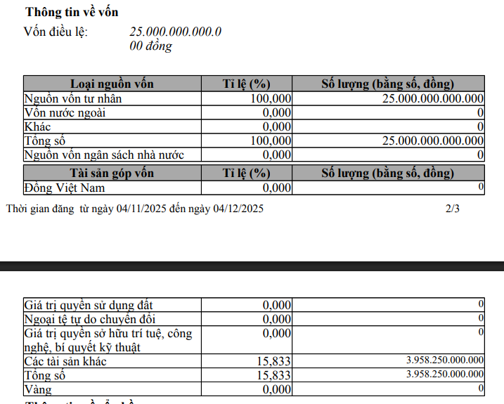 Xanh SM tăng vốn lên 25.000 tỷ đồng- Ảnh 1.