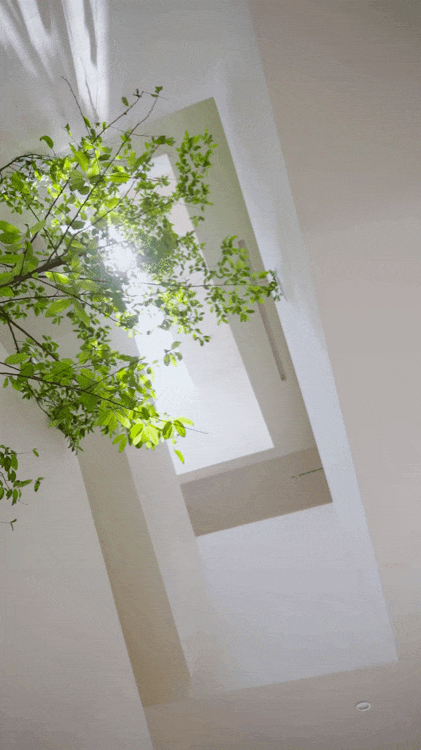 Chàng trai 30 tuổi bỏ phố về quê, xây biệt thự 760 m2 cho bố mẹ dưỡng già: Không cần kiếm đủ tiền mới chọn được cách sống- Ảnh 2.