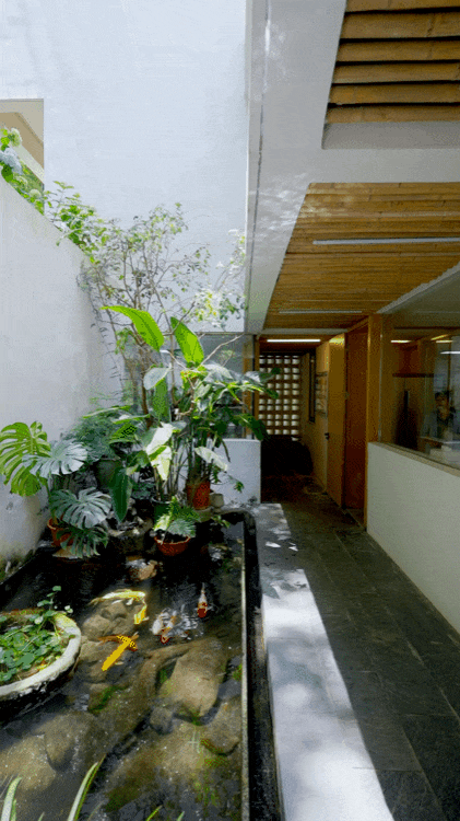 Chàng trai 30 tuổi bỏ phố về quê, xây biệt thự 760 m2 cho bố mẹ dưỡng già: Không cần kiếm đủ tiền mới chọn được cách sống- Ảnh 3.