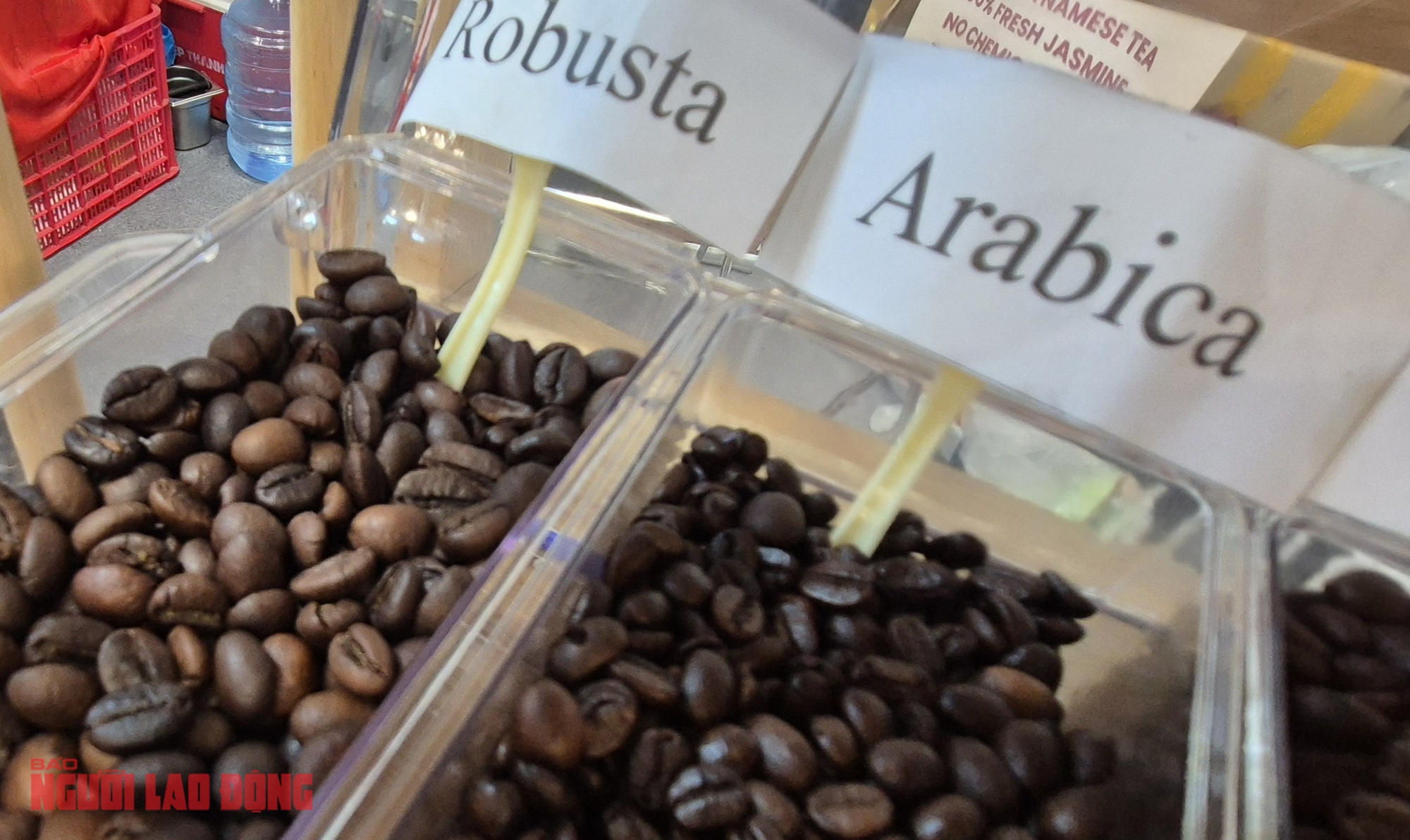 Giá cà phê hôm nay 19-11: Tiếp tục tăng cao- Ảnh 1.