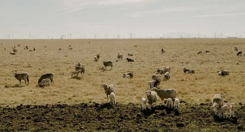 Một thành phố tại Mỹ sắp kiệt quệ vì hết đất phát triển, kinh tế trì trệ chưa từng có- Ảnh 1.