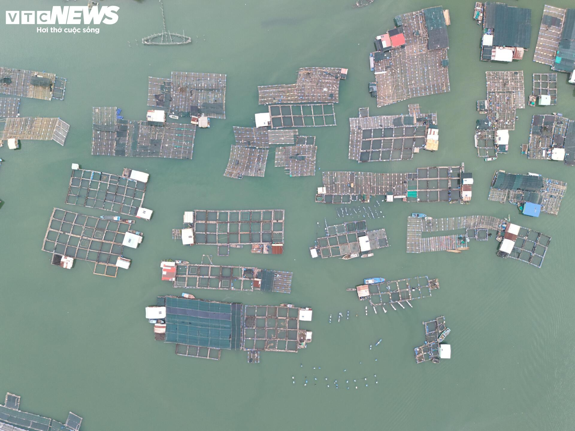 Toàn cảnh hòn đảo rộng gần 1.400 ha được đề xuất làm khu đô thị ở TP.HCM- Ảnh 5.