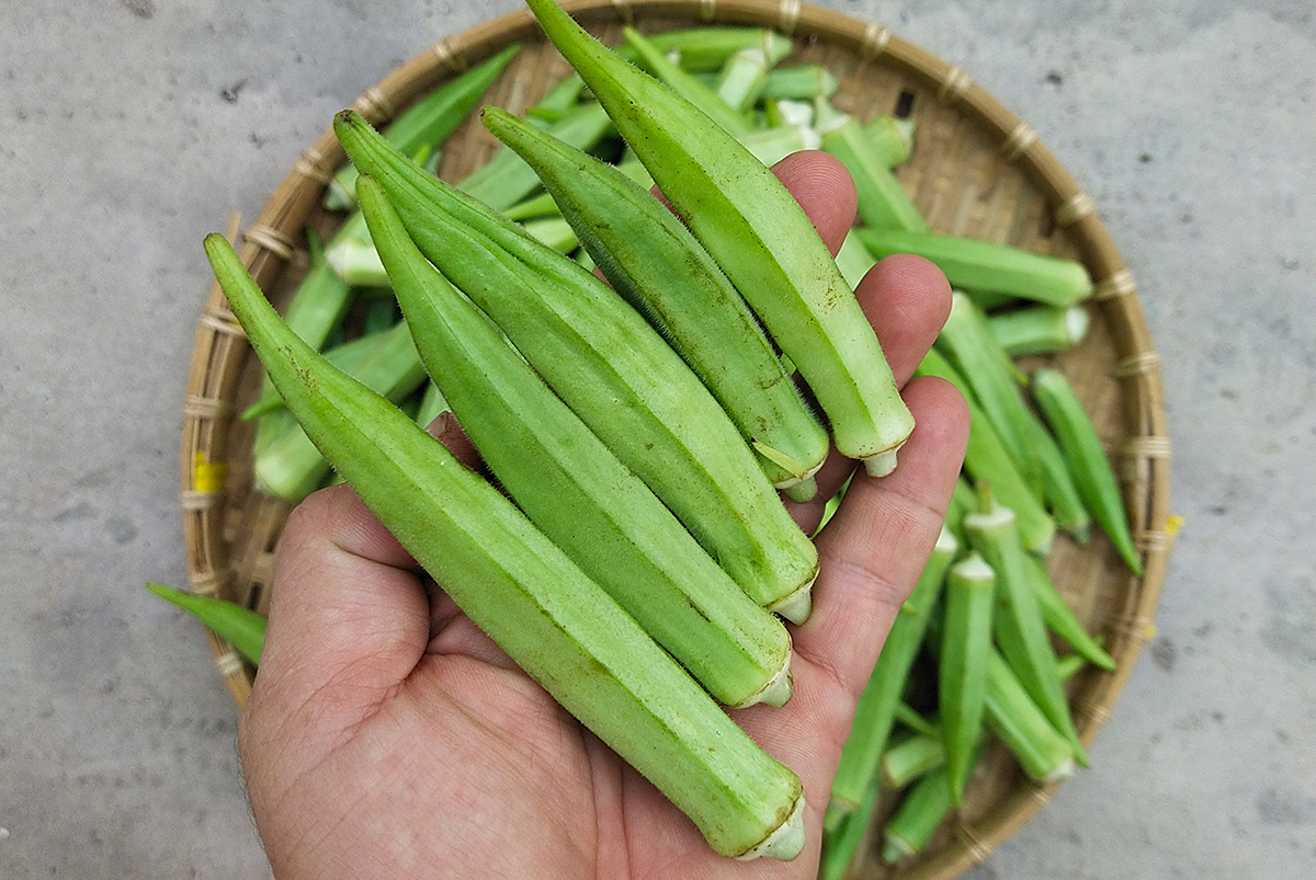 Chị bán rau ở chợ đầu mối chia sẻ: 4 loại rau tăng sốc nhất tháng này – và 4 món rẻ bằng một nửa để thay thế ngay- Ảnh 8.