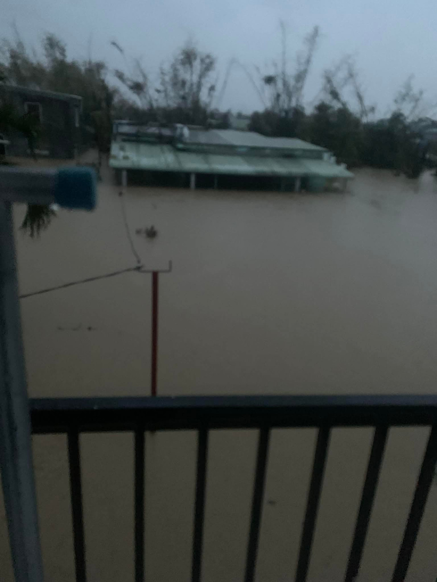 Diễn viên Đình Khang cầu cứu- Ảnh 2.