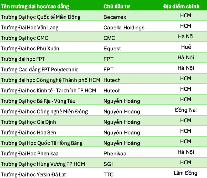 Làn sóng sở hữu trường tư của các tập đoàn lớn tại Việt Nam- Ảnh 2.