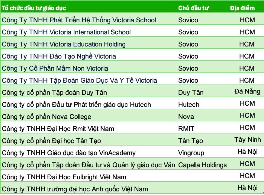 Làn sóng sở hữu trường tư của các tập đoàn lớn tại Việt Nam- Ảnh 3.