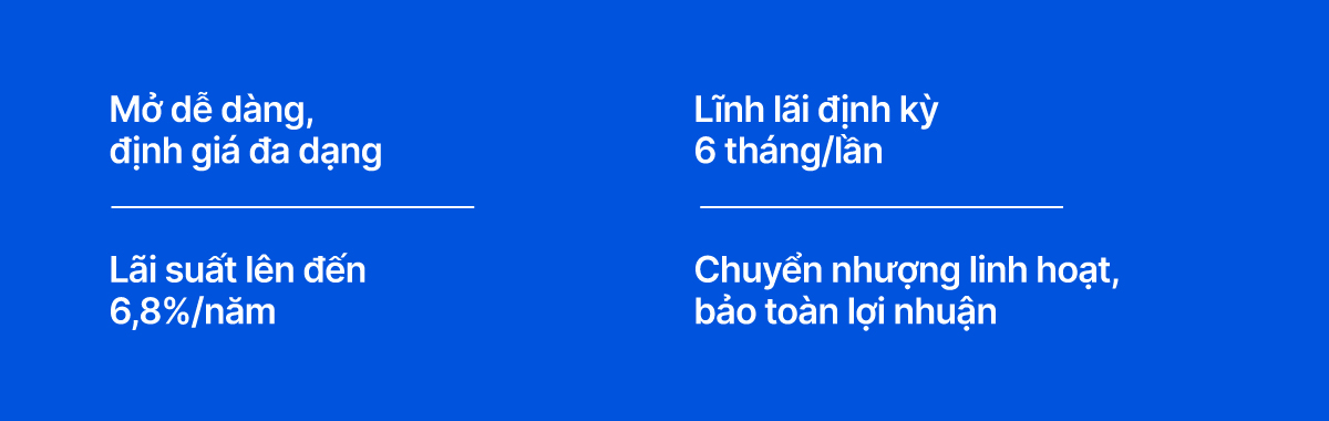 Vì sao iDepo trở thành giải pháp tối ưu nguồn vốn của người làm kinh doanh- Ảnh 2.