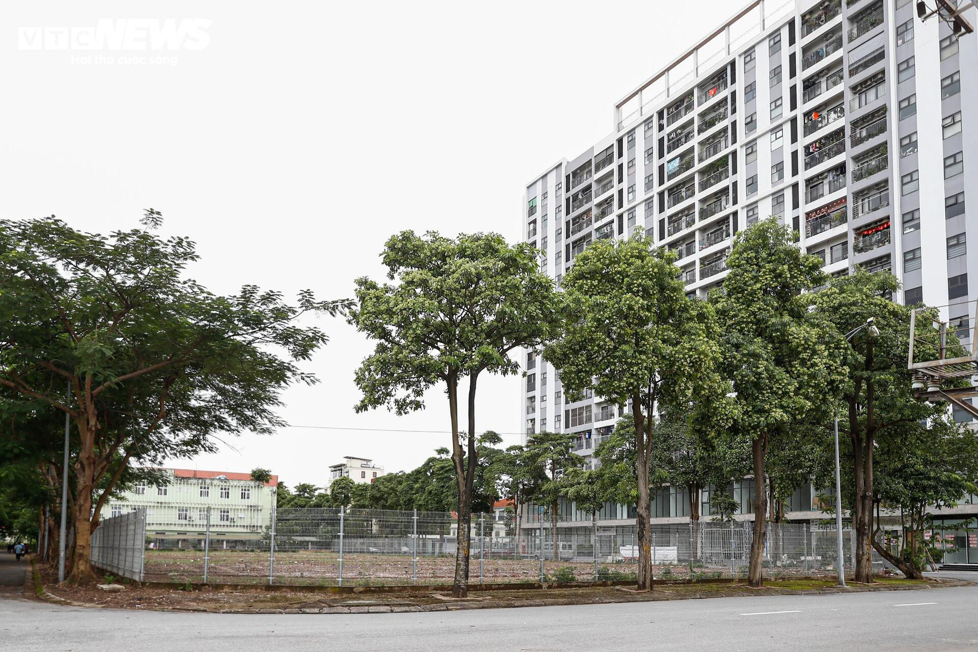 Toàn cảnh nơi ở mới của người dân ven hồ Hoàn Kiếm sau di dời- Ảnh 22.