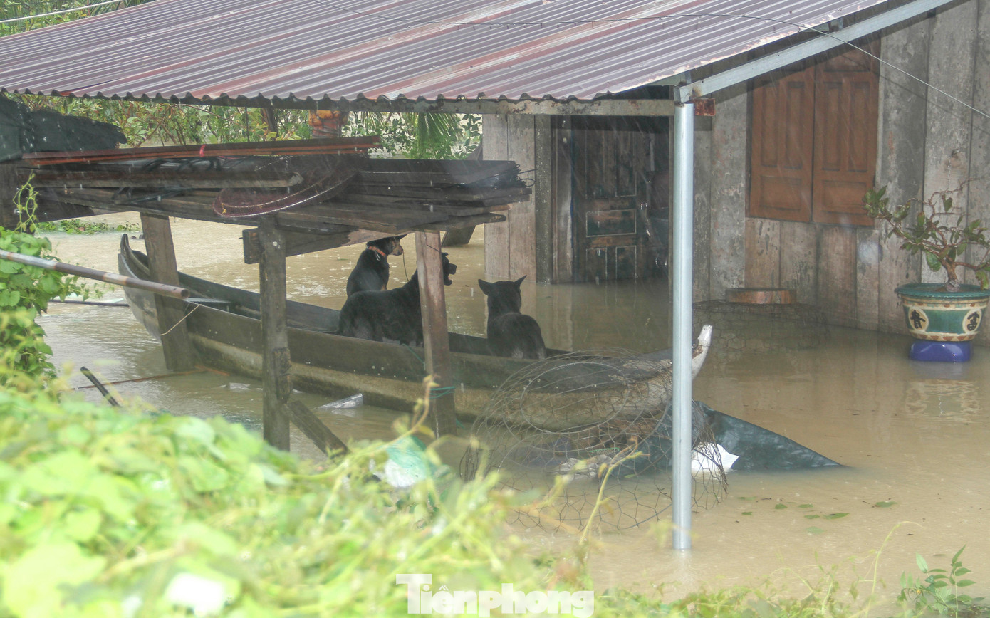 Nước lũ có nơi ngập 2m, người dân Quy Nhơn lên đường ray tìm nơi trú nạn- Ảnh 3.