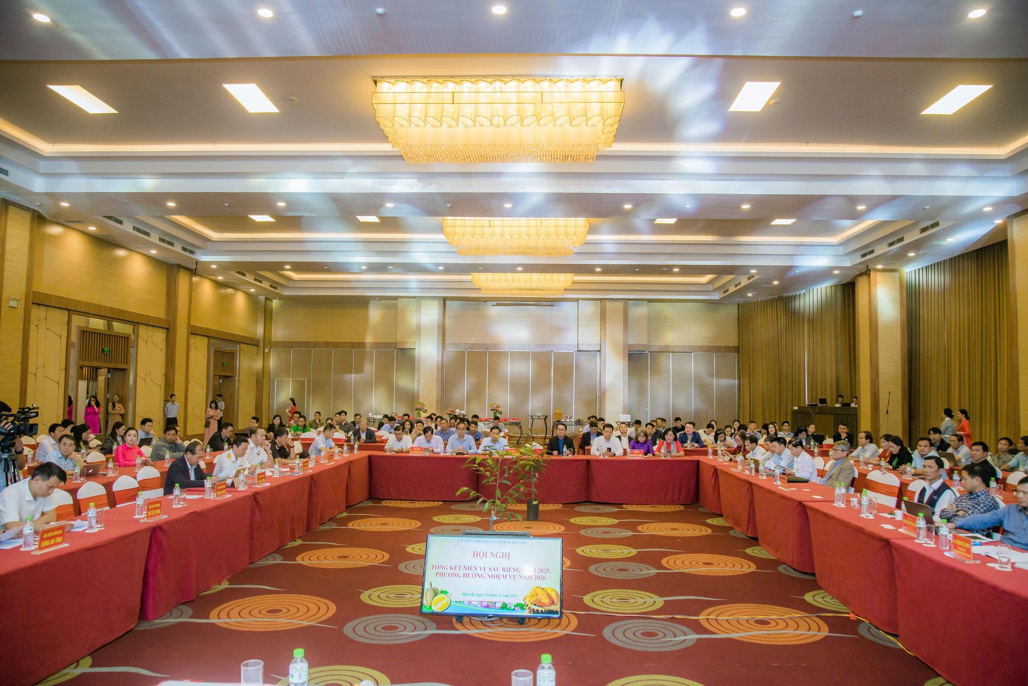 Mua hồ sơ xuất khẩu sầu riêng với giá... hàng trăm triệu đồng!- Ảnh 1.