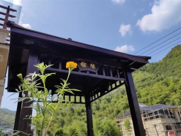 Hai vợ chồng U60 chi 7,4 tỷ đồng về quê xây biệt thự dưỡng già, rủ 6 người lạ về ở chung: Biết được lý do ai cũng ủng hộ mạnh mẽ- Ảnh 2. Hai vợ chồng U60 chi 7,4 tỷ đồng về quê xây biệt thự dưỡng già, rủ 6 người lạ về ở chung: Biết được lý do ai cũng ủng hộ mạnh mẽ- Ảnh 2.