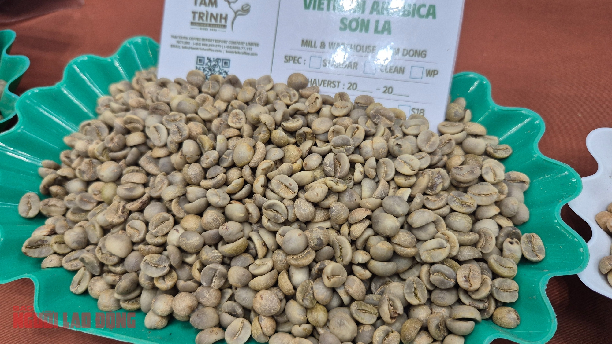 Giá cà phê hôm nay, 2-11: Điều chưa từng có ở vùng cà phê Sơn La- Ảnh 1. Giá cà phê hôm nay, 2-11: Điều chưa từng có ở vùng cà phê Sơn La- Ảnh 1.