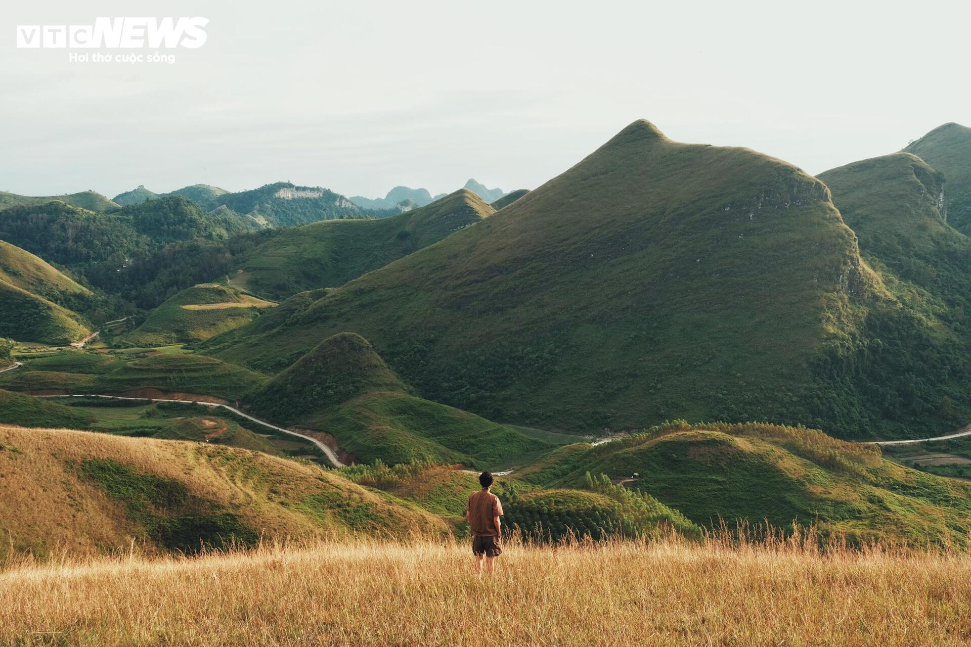 Mùa cỏ cháy phủ vàng đồi Ba Quáng giữa núi rừng Cao Bằng- Ảnh 5. Mùa cỏ cháy phủ vàng đồi Ba Quáng giữa núi rừng Cao Bằng- Ảnh 5.