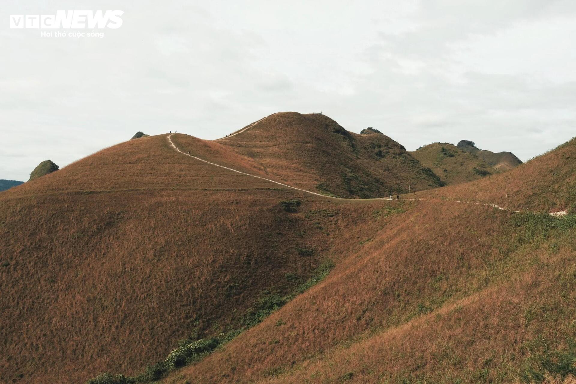 Mùa cỏ cháy phủ vàng đồi Ba Quáng giữa núi rừng Cao Bằng- Ảnh 6. Mùa cỏ cháy phủ vàng đồi Ba Quáng giữa núi rừng Cao Bằng- Ảnh 6.